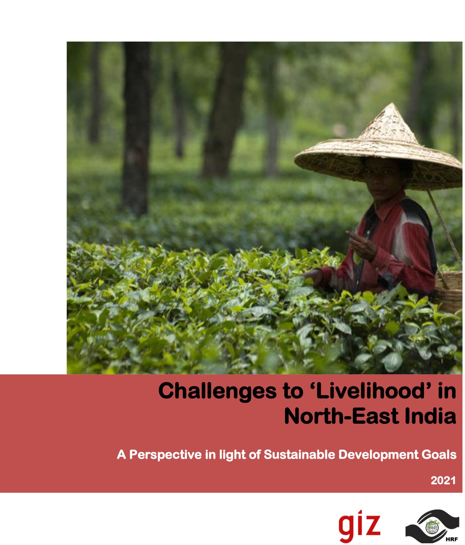 Read more about the article Challenges to Livelihood in North East India